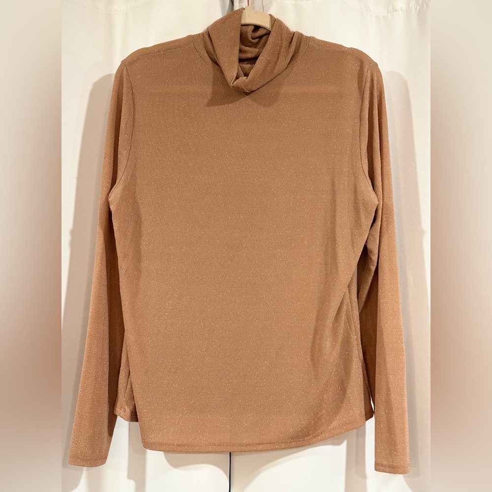 Sheer Tan Long Sleeve Turtleneck Top